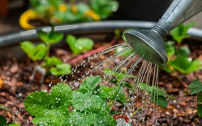 Levée des restrictions d&rsquo;eau dès le 15.09.2026